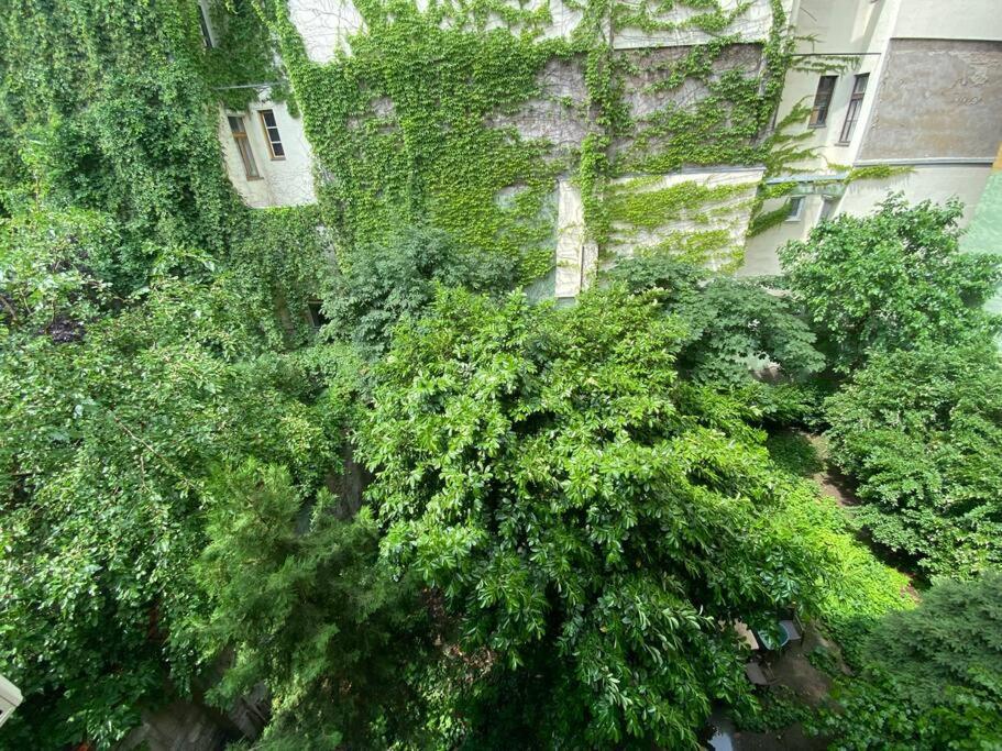 Raday Street, Spacious, Modern Apartment Boedapest Buitenkant foto